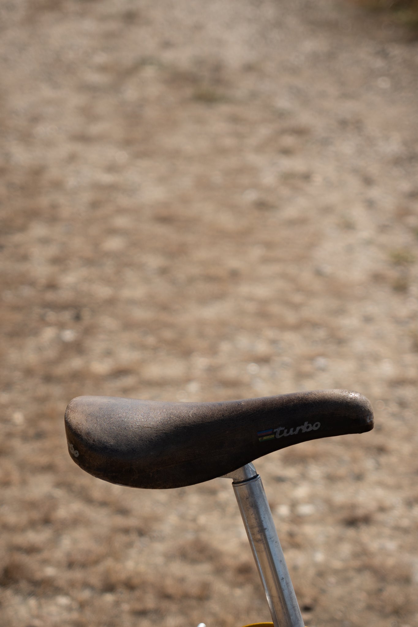 Muddy Fox Adventure Cromo – Custom Vintage Cruiser