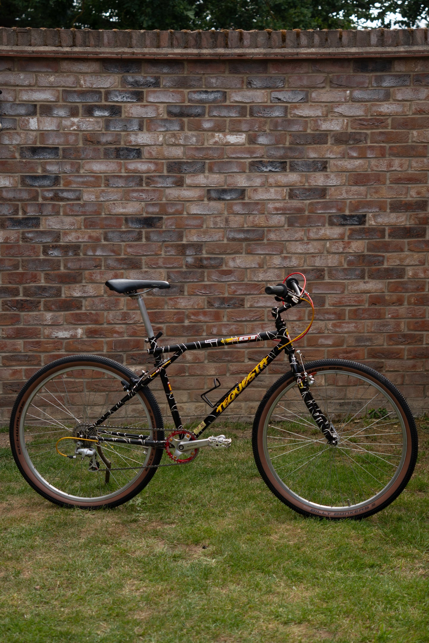 1992 GT Tequesta — Wild Daktari Black
