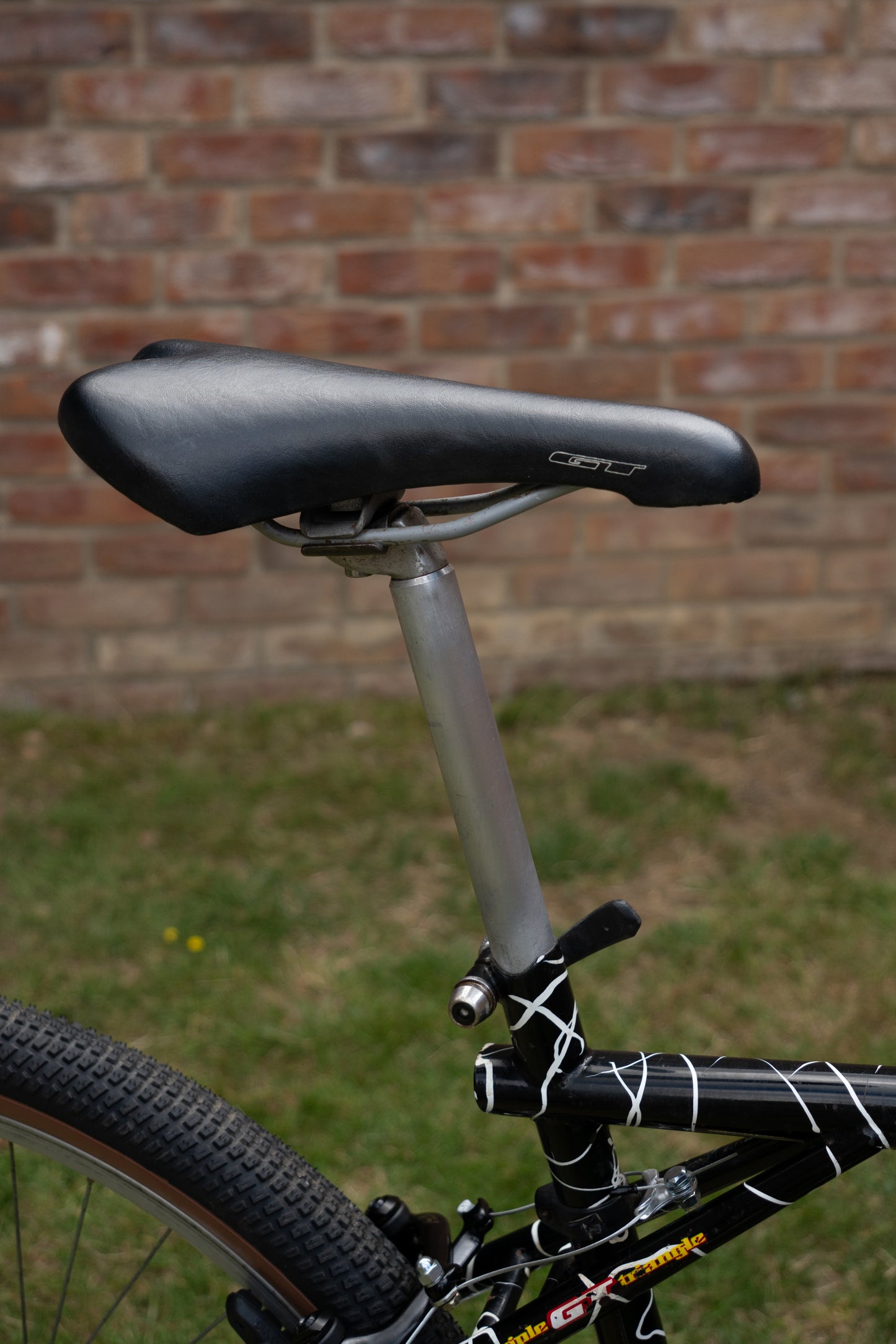 1992 GT Tequesta — Wild Daktari Black