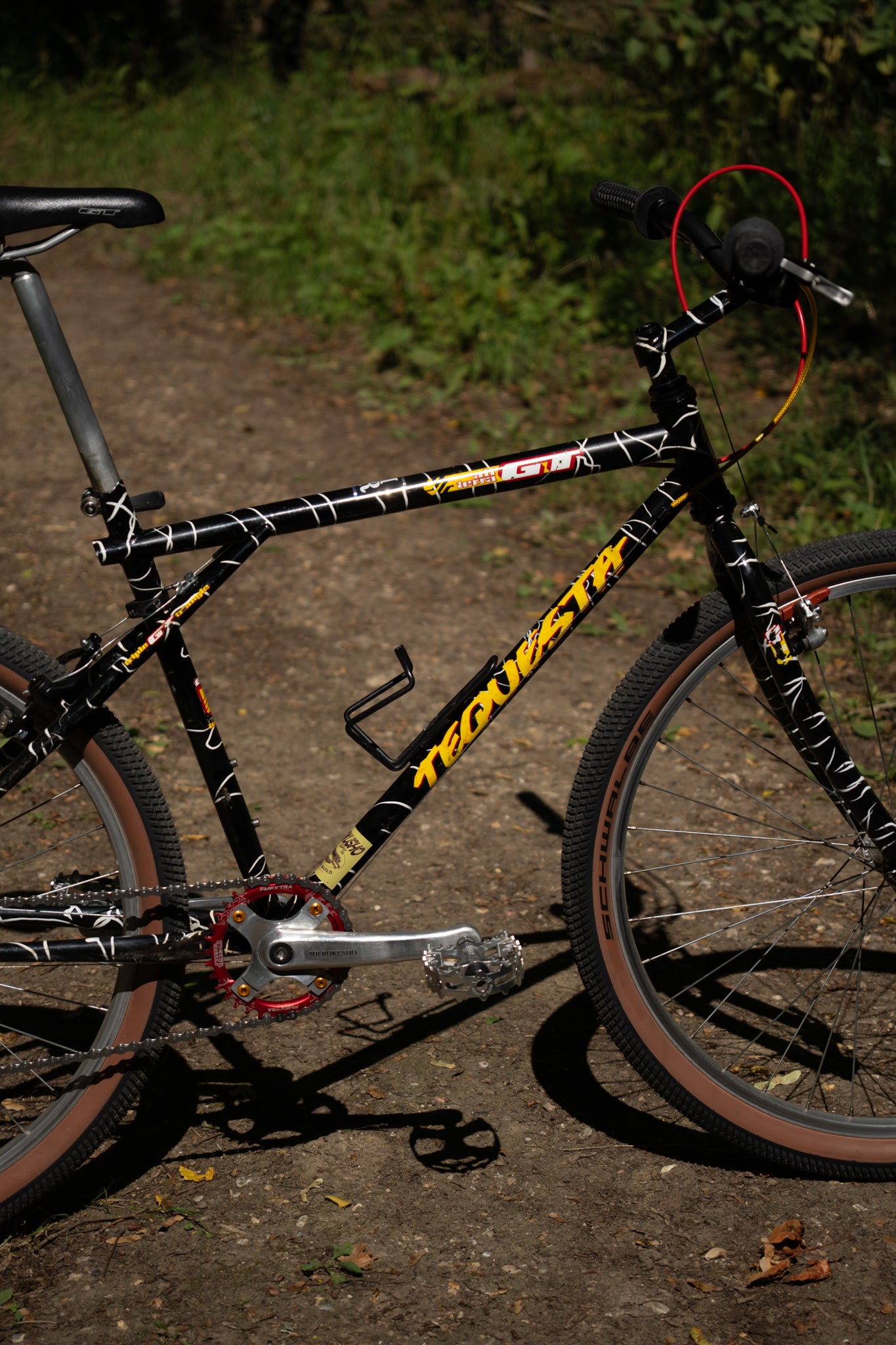 1992 GT Tequesta — Wild Daktari Black