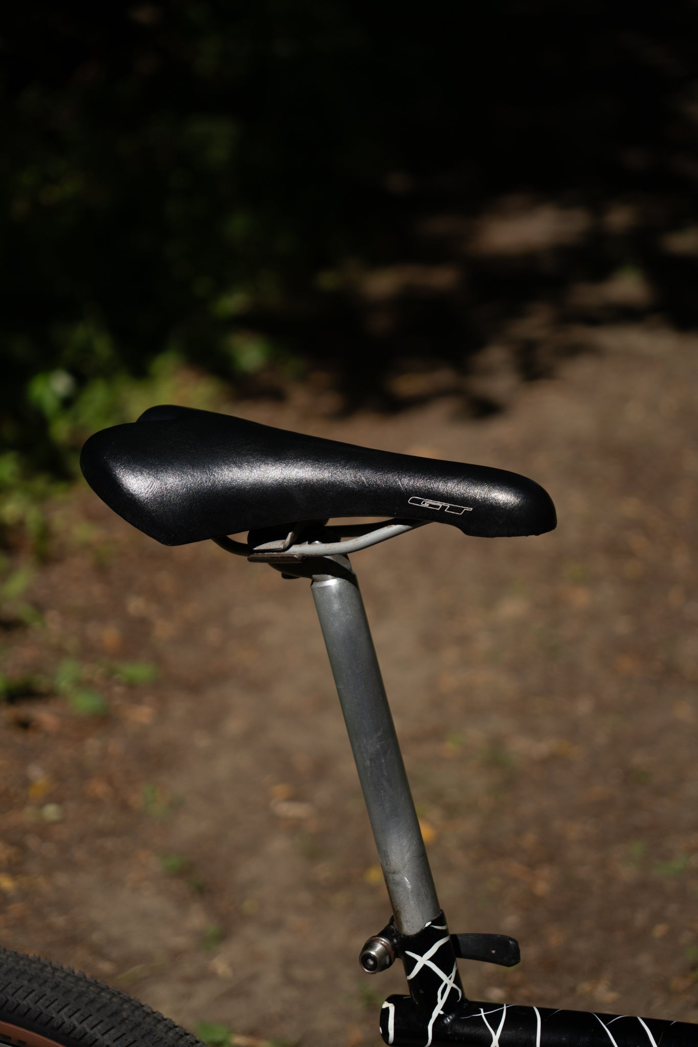 1992 GT Tequesta — Wild Daktari Black