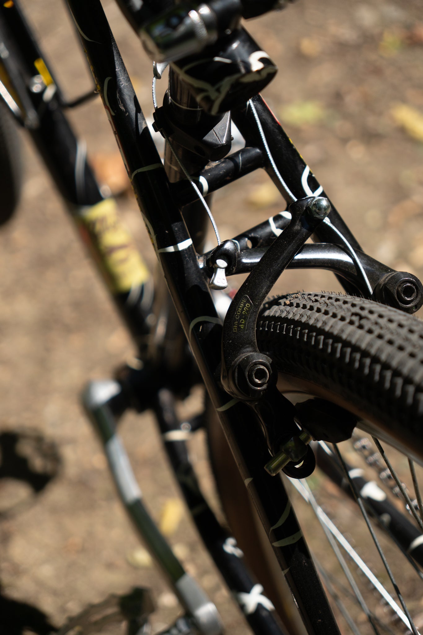 1992 GT Tequesta — Wild Daktari Black