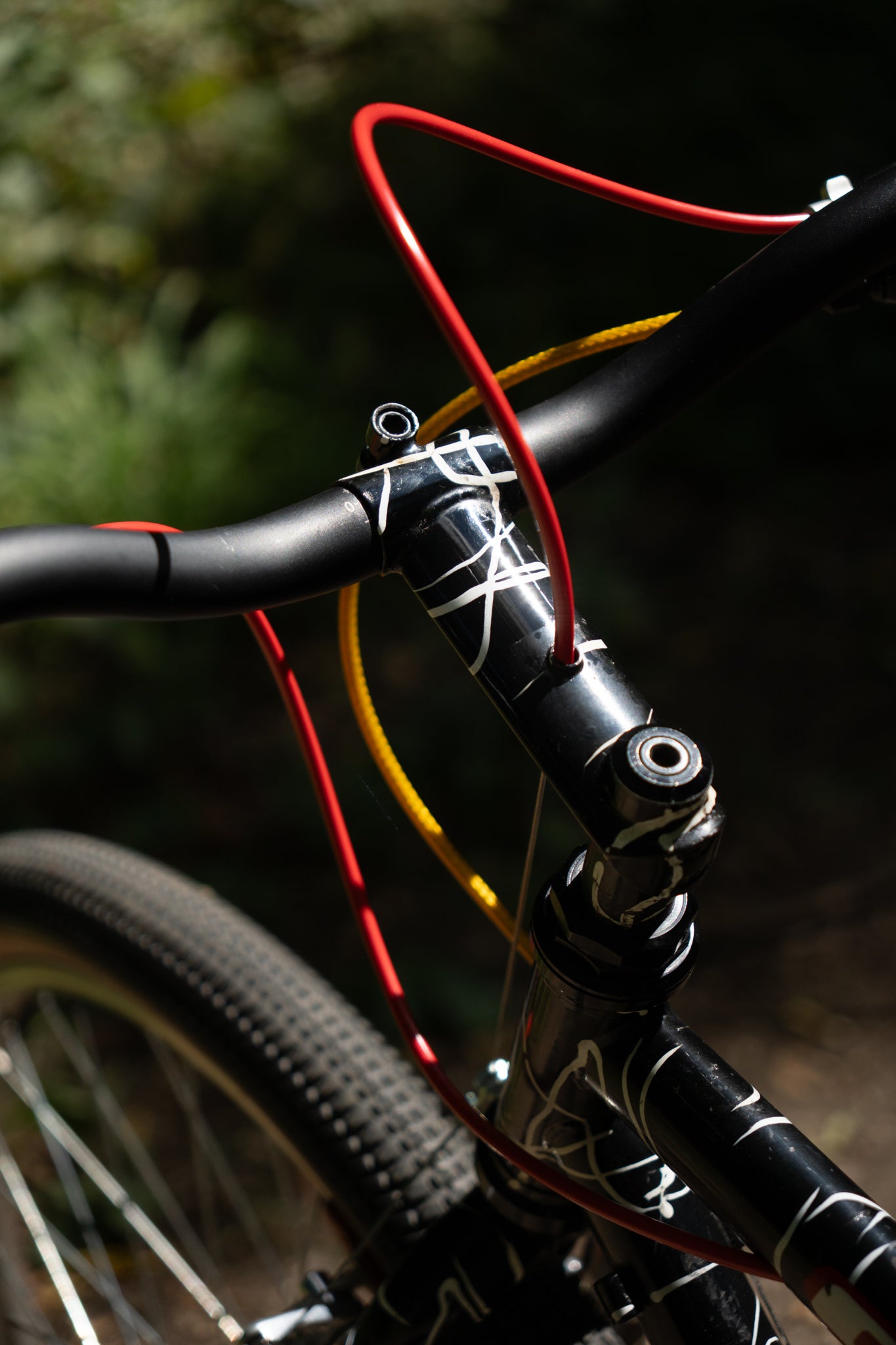 1992 GT Tequesta — Wild Daktari Black