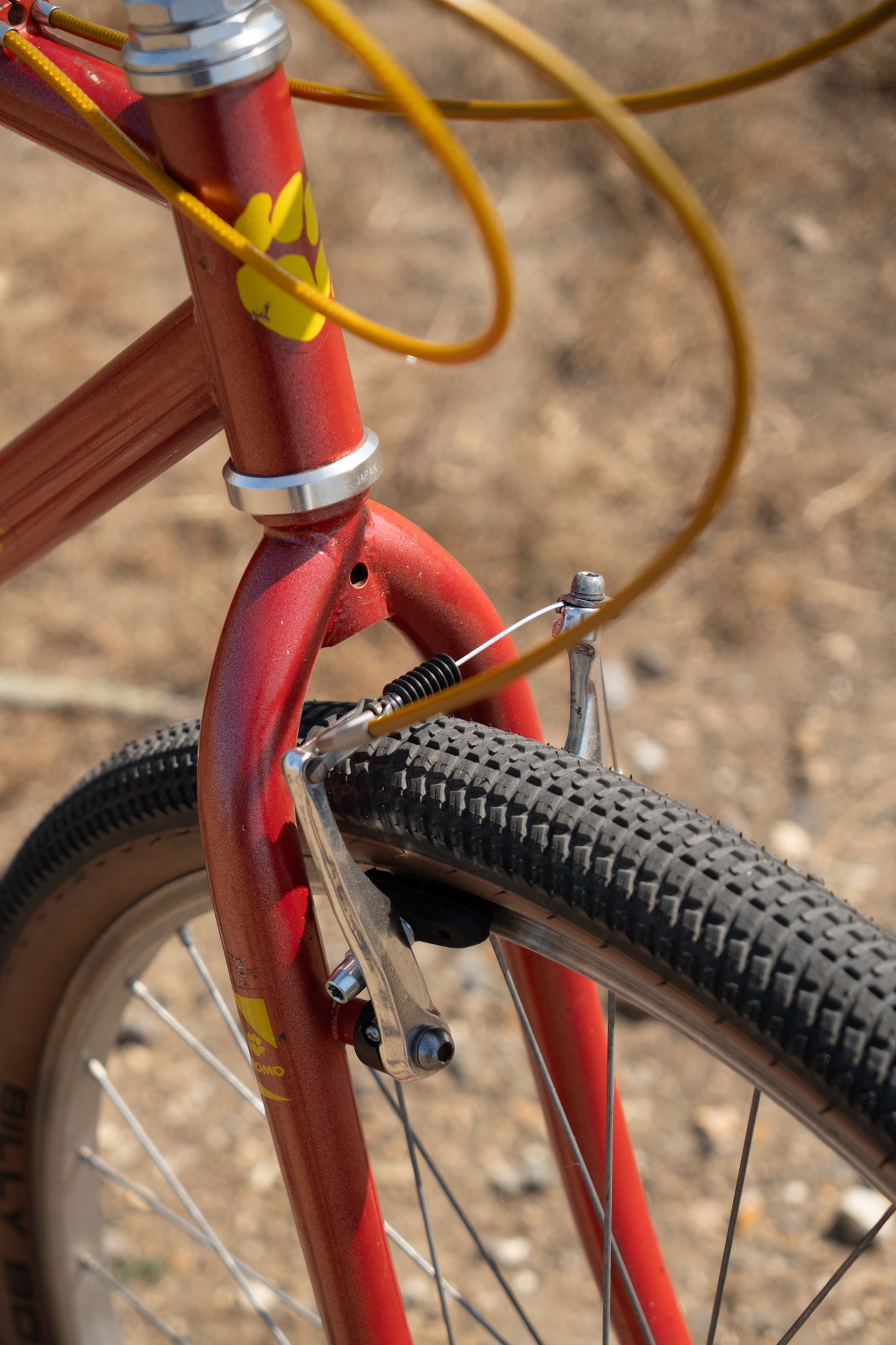 Muddy Fox Adventure Cromo – Custom Vintage Cruiser