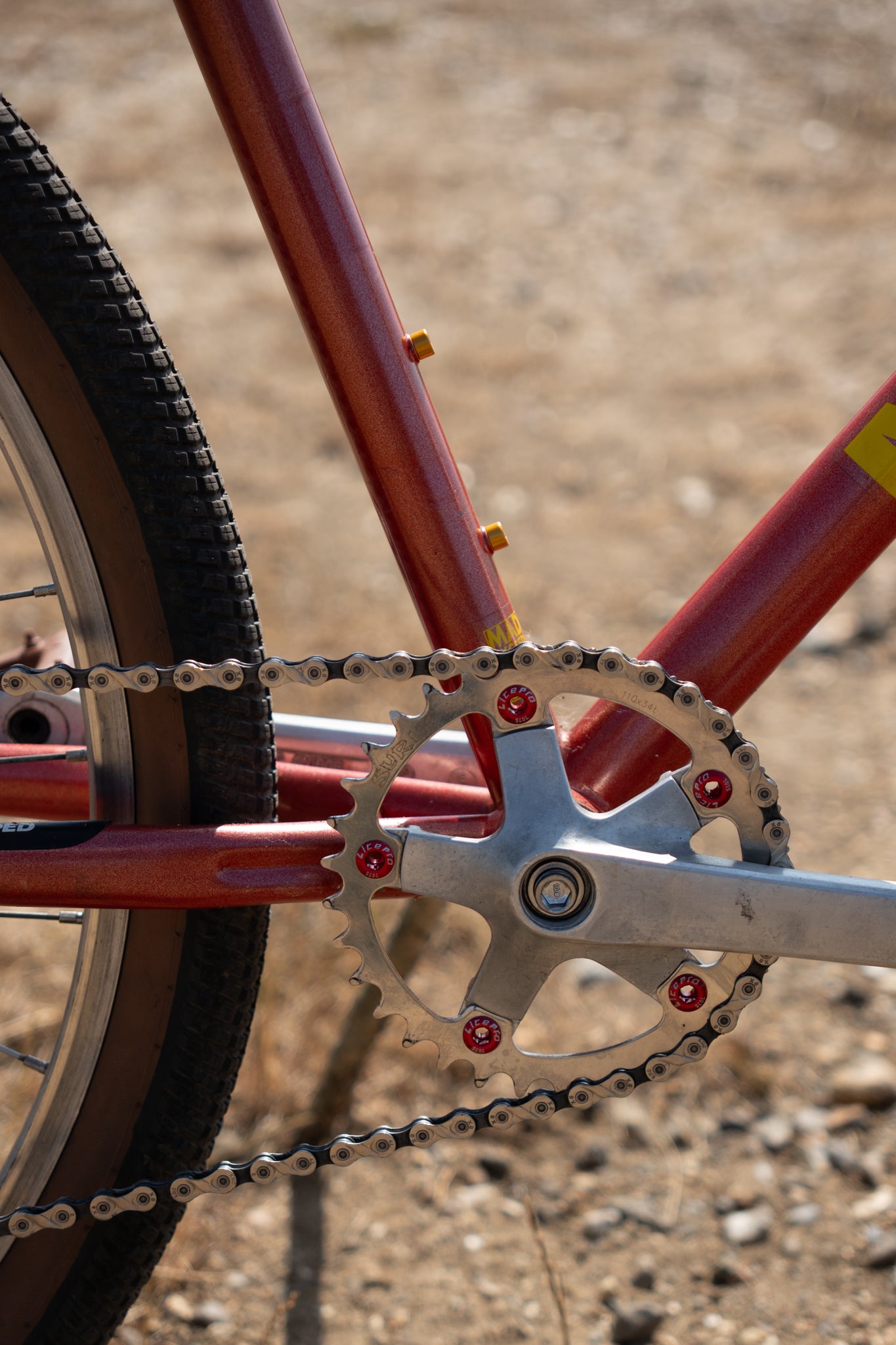 Muddy Fox Adventure Cromo – Custom Vintage Cruiser